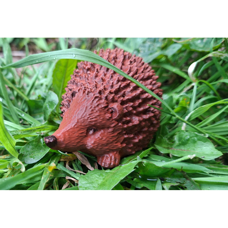 Snuffles the hedgehog
