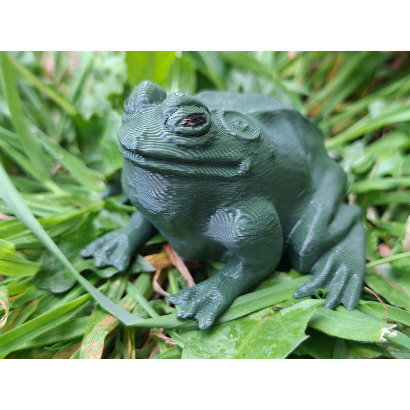 Hoppy the Frog
