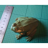 Hoppy the Frog