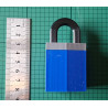 Trickster Padlock