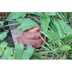 Pile of Poo