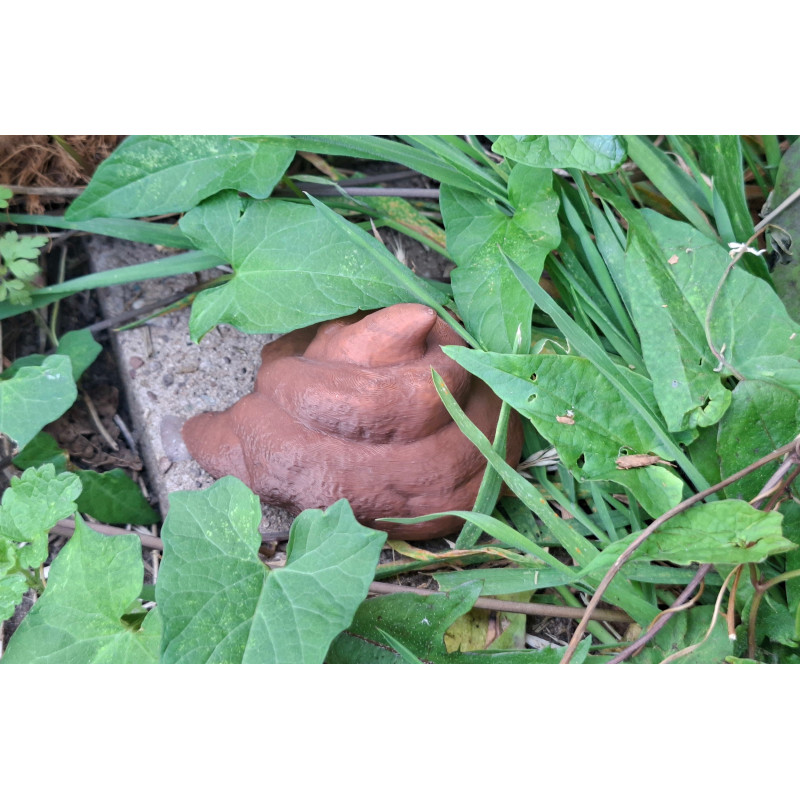 Pile of Poo