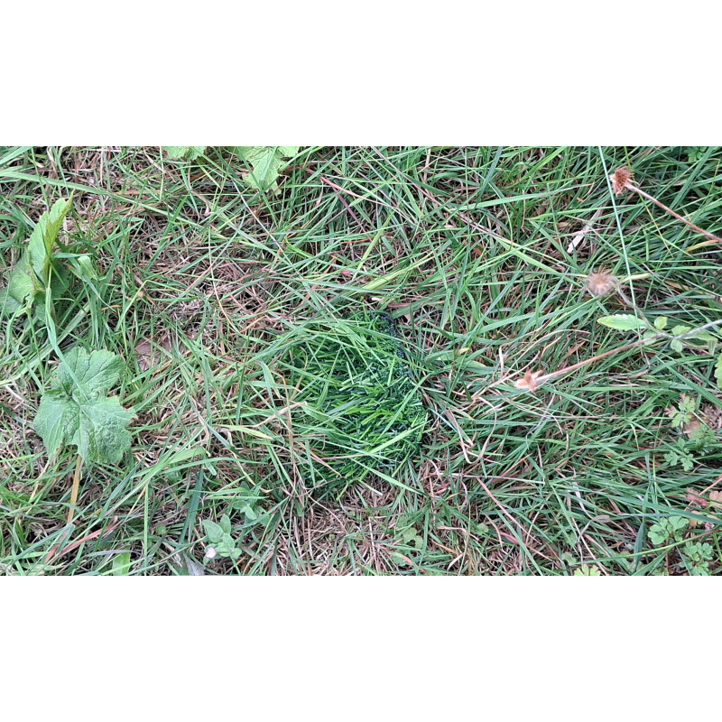 Grass Patch Cache